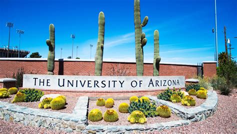 Arizona Üniversitesi